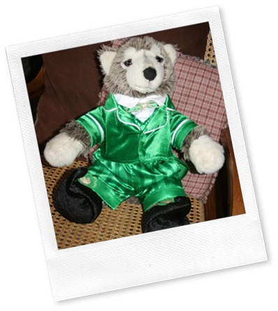 leprechaun build a  bear