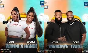 BBNaija2024, Identical Twins, Wanni And Handi, Reality TV, Big Brother Naija