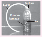 Mengamati Kerja Jantung Melalui Model 1