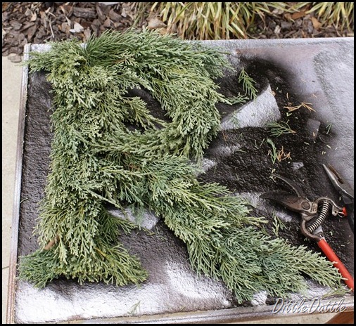 DIY Monogrammed Wreath