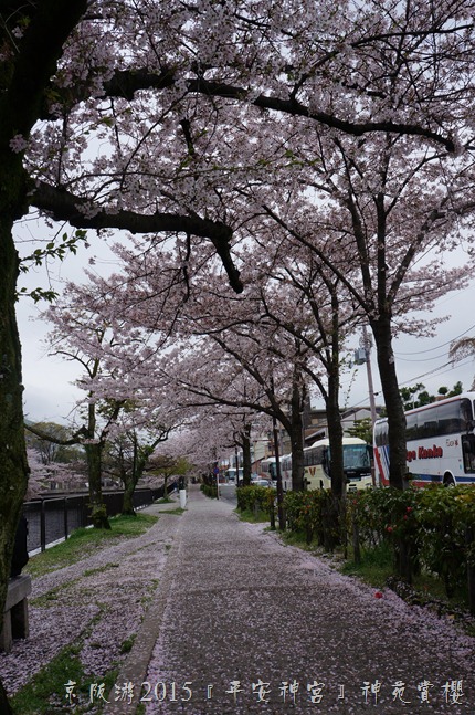 DSC03175