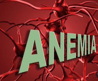 Home remedies for anemia in hindi