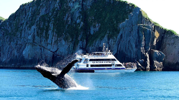 Alaska Boat Tours