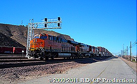 DSCN3417