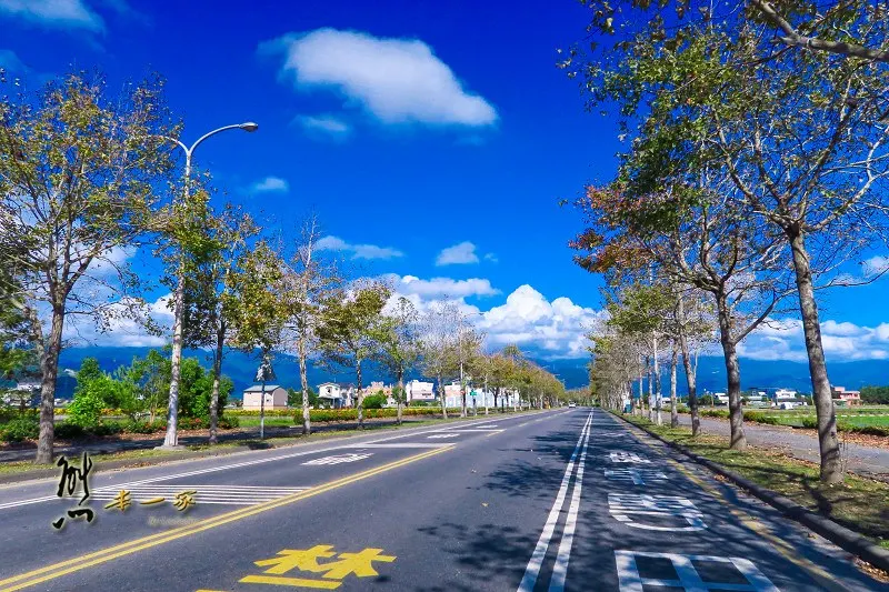 梅花湖住宿｜香草森林民宿｜近小熊書房梅花湖