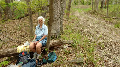 lunch site