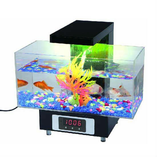 artistic fish tank ideas