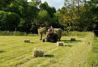 tractor with wagon loaded with hay in field