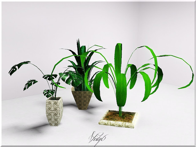 #8 Indoor Plant Decoration Ideas