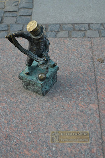 wroclaw polonia gnomos