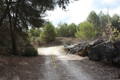 L'ARBOÇ-LA COSTETA-LA PEDRERA, Camí a la Pedrera de l'Arboç