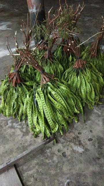 Pedagang Pisang Dan Jengkol Jogja