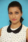 Hamsa Nandini Glamorous photos-thumbnail-16