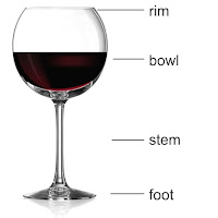 Anatomy of a Wine Glass