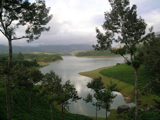 Anayirangal Munnar