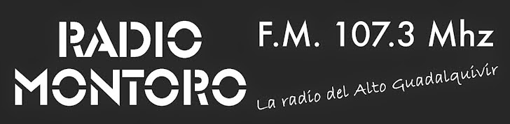 PARE OIR LA RADIO BIEN UTILIZA NAVEGAROE GOOGLE
