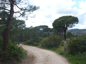 Unas fotos de nuestra ruta de Ávila a El Escorial - Junio 2013