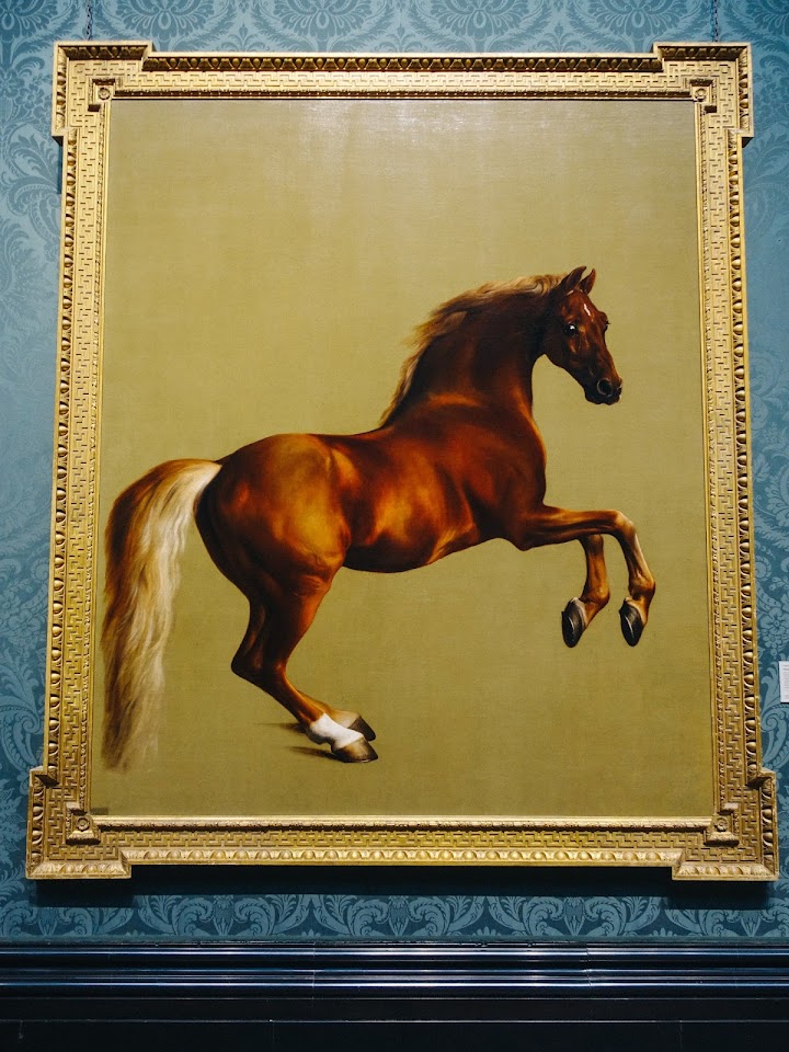 ホイッスルジャケット（Whistlejacket）1762年頃