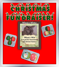 http://celestialkitties.blogspot.com/2012/11/winnies-wish-christmas-fundraiser.html