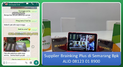 PROMOSI, 08123 01 8900 (Bpk. Alid), Brainking Plus di Samarinda