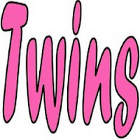 Twins Logo