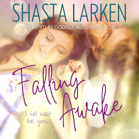 falling awake by shasta larken clean teen romance books sweet hockey reads clean and wholesome high school sports novels