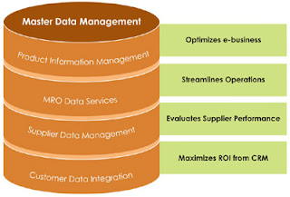 Data Management Services