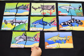 Sharks Themed Unit: Head and Tail Puzzles