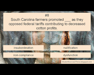 South Carolina farmers promoted ___ as they opposed federal tariffs contributing to decreased cotton profits. Answer choices include: insubordination, nullification, non-compliance, dysfunction