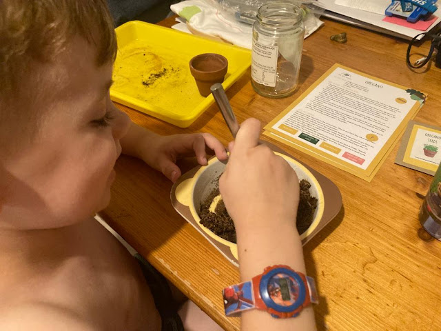 Little boy wearing a watch mixing soil and water in a bowl