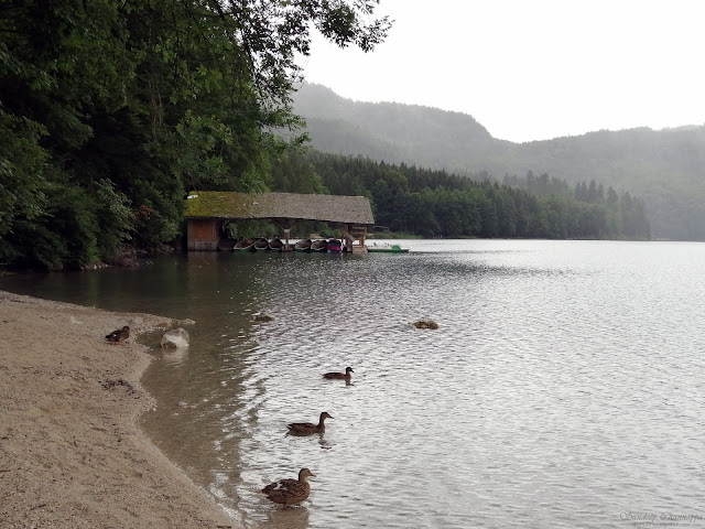 Alpsee lake