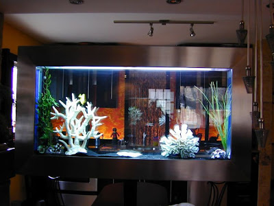 fish aquarium design