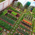  The Complete Guide to Landscaping: Transforming Your Outdoor Space