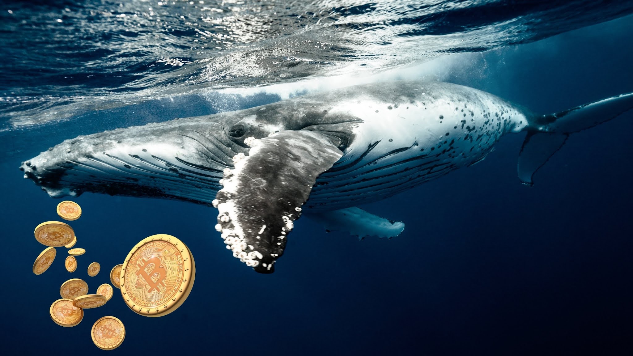 bitcoin zincir analizi