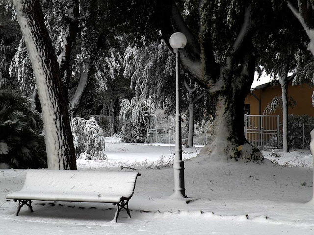 Park of Villa Letizia under the snow, Livorno