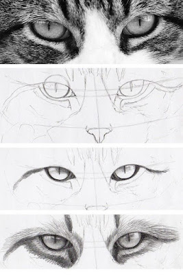 Como dibujar ojos de Gato, Como dibujar ojos de reno, como dibujar ojos de perro, como dibujar ojos de gato