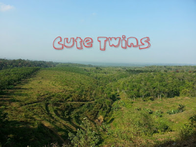 Suasana menuju Air Terjun Tancak Jember