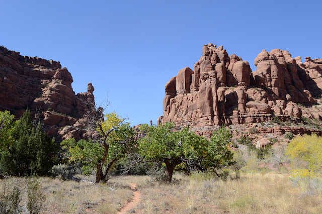 cottonwoods in a canyon of people shapes