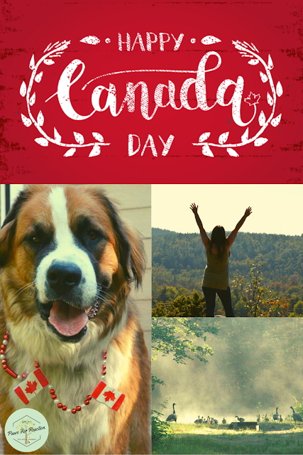 How to celebrate Canada Day during the global COVID-19 pandemic