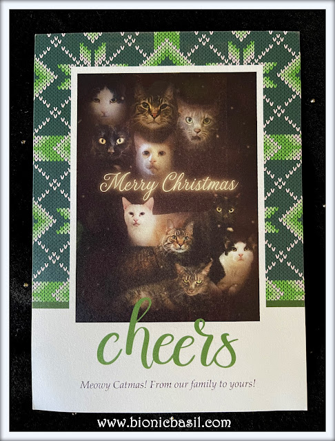 The BBHQ Midweek News Round-Up ©BionicBasil® Catmas Cards 2022 Chauncer and Immy