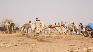 The whole village helps finding water from the underground