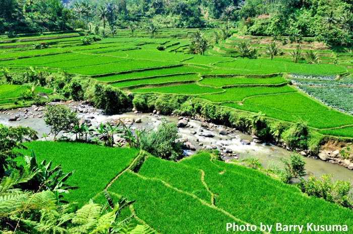 Gambar Pemandangan Kota Garut