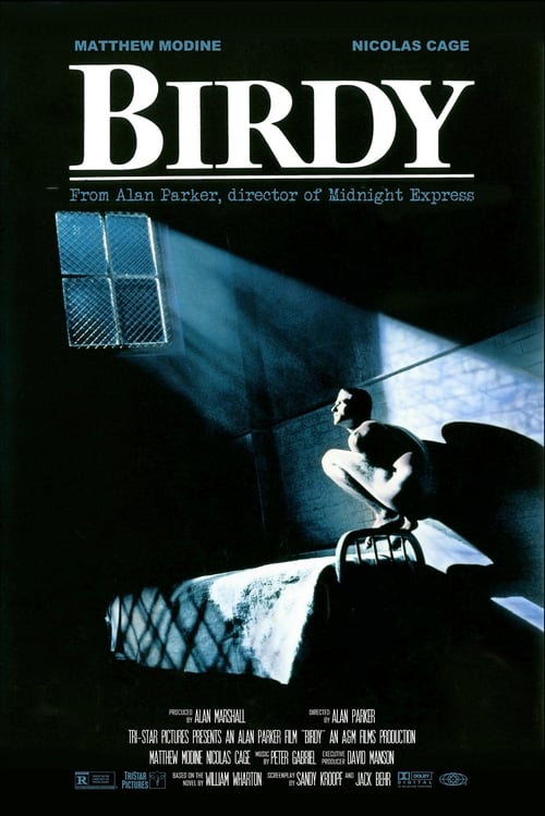[HD] Birdy 1984 Film Complet Gratuit En Ligne