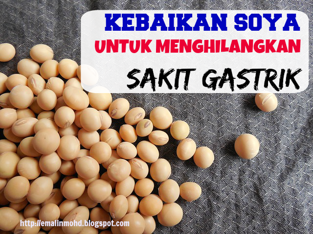 Kebaikan Soya Untuk Menghilangkan Sakit Gastrik - Healthy 