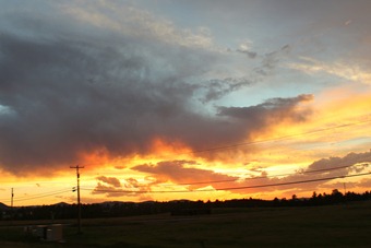 IMG_6668