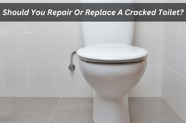 Image presents toilet repairs
