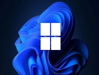 Windows 11