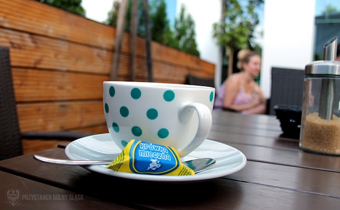 Trochę oddechu w mieście | Zenka Cafe | Wrocław