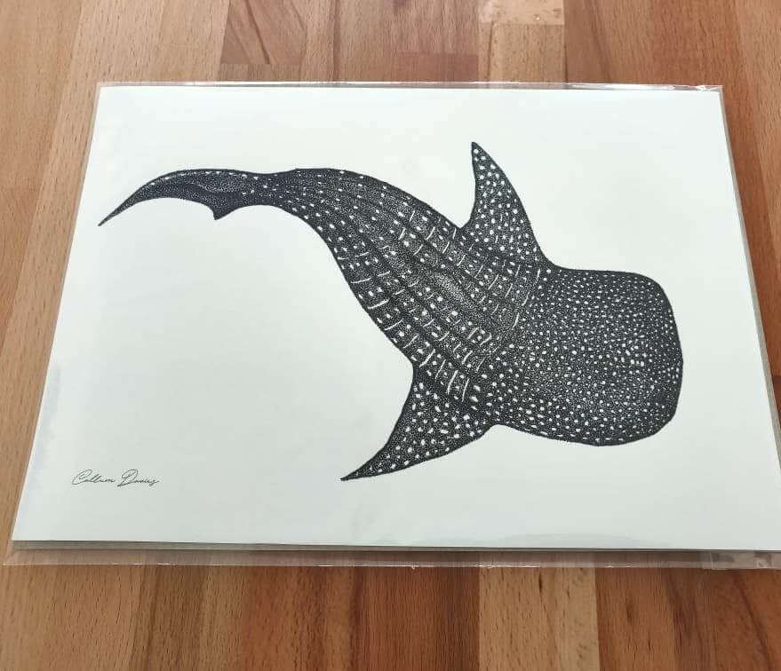 01-Whale-shark-Dot-Art-Animals-Callum-Davies-www-designstack-co