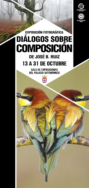 Exposición 'Diálogos sobre composicion' de José Benito Ruiz